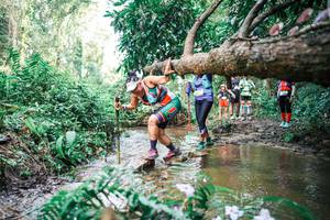 BIB: 
                            <button type="button" onclick="openModal(25517808)" class="btn btn-primary btn-sm float-right btn-popup" data-toggle="modal" data-target=".modal-high-quality">
                        <i class="fas fa-shopping-cart"></i> Add to Cart
                    </button>
                                            <button type="button" onclick="isThisMe(25517808, true)" class="btn btn-success btn-sm float-right btn-popup btn-isme hidden" data-toggle="tooltip" data-placement="bottom" title="นี่คือรูปของคุณใช่ไหม คลิกที่นี่เพื่อเอาเข้าอัลบั้ม">
                        <i class="fas fa-plus"></i> Add to album
                    </button>
                    <button type="button" onclick="isThisMe(25517808, false)" class="btn btn-warning btn-sm float-right btn-popup btn-isnotme hidden">
                        <i class="fas fa-ban"></i> Remove from album
                    </button>